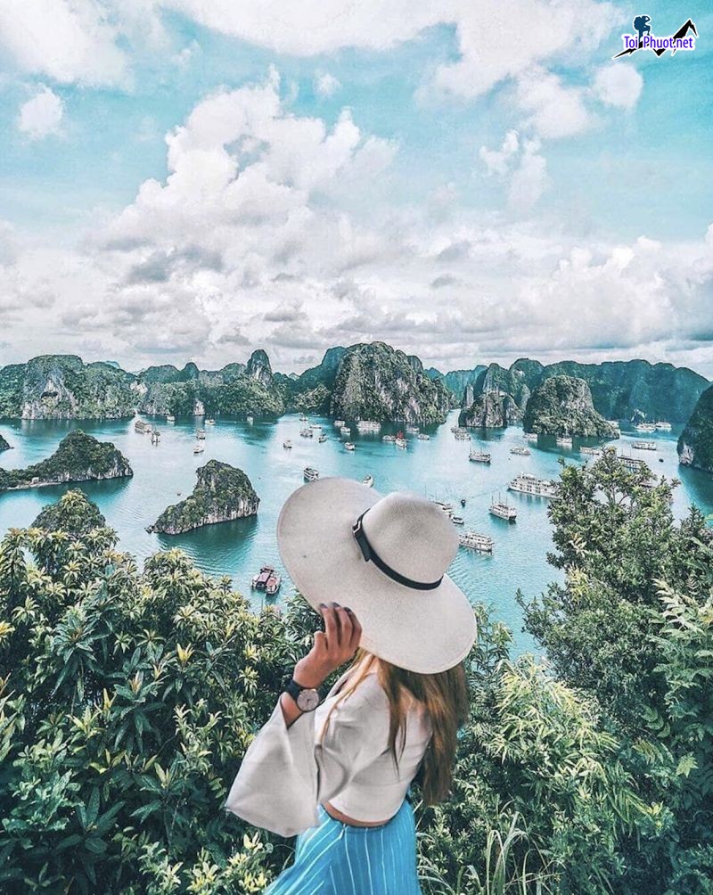 Top 7 Công ty du lịch tại Hải Phòng uy tín nhất năng động và nhiệt tình (5)