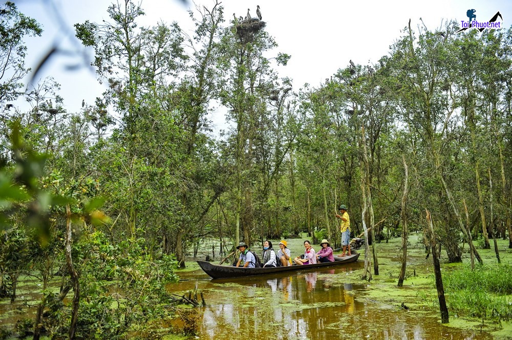 Top 7 Danh lam thắng cảnh đẹp nhất tại Đồng Tháp quê hương của những bông sen (2)