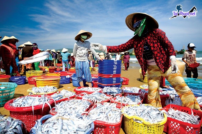 Top 7 Địa chỉ bán hải sản tươi sống chất lượng nhất Nghệ An Hàng chuẩn cân, chất lượng đảm bảo (3)