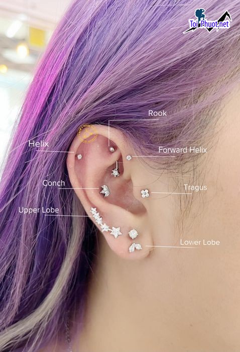 Top 7 Địa chỉ xỏ khuyên chuyên nghiệp nhất Lai Châu có giấy phép đầy đủ (3)