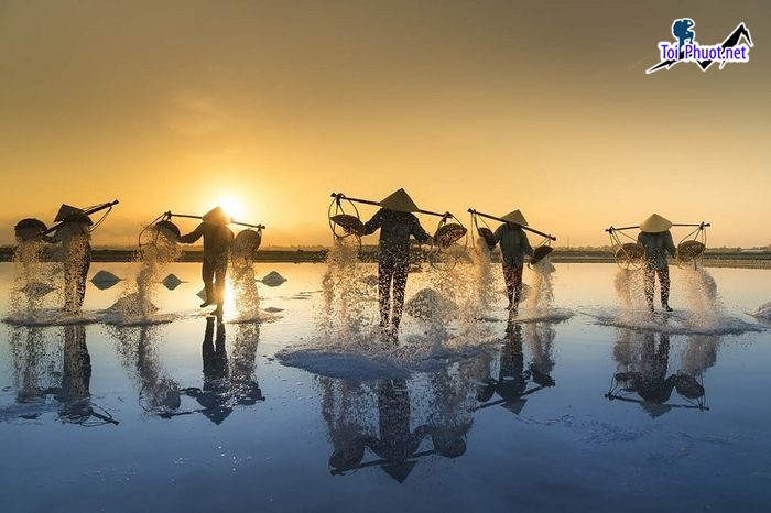 Top 8 Công ty du lịch tại Quảng Ngãi uy tín nhất đội ngũ thân thiện (3)