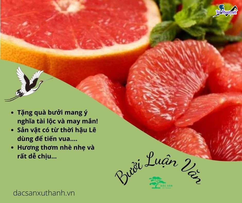 Top 8 Địa chỉ bán đặc sản làm quà uy tín nhất Thanh Hóa được nhiều người mua làm quà (1)