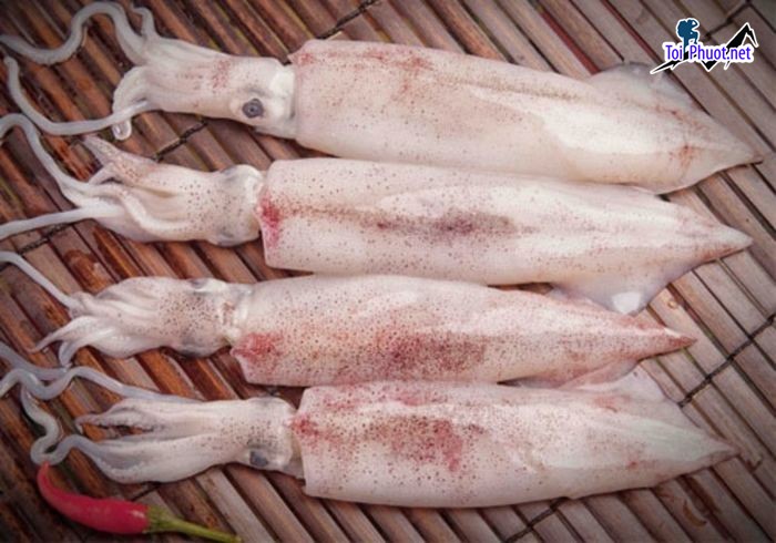 Top 8 Địa chỉ bán hải sản tươi sống chất lượng nhất Quảng Ninh hải sản cao cấp (1)