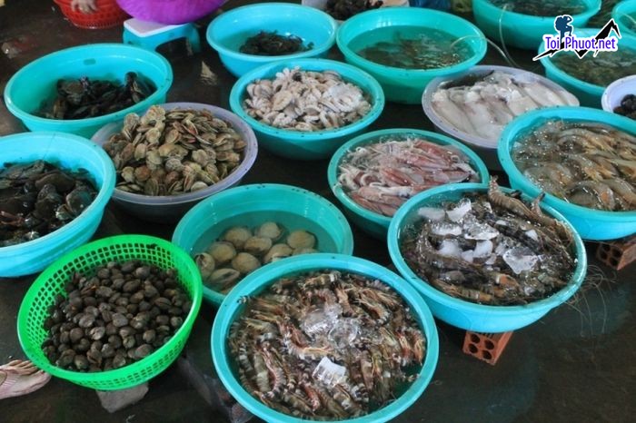 Top 8 Địa chỉ bán hải sản tươi sống chất lượng nhất Quảng Ninh hải sản cao cấp (2)