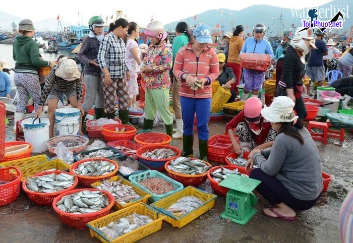 Top 8 Địa chỉ bán hải sản tươi sống chất lượng nhất Quảng Ninh hải sản cao cấp (4)