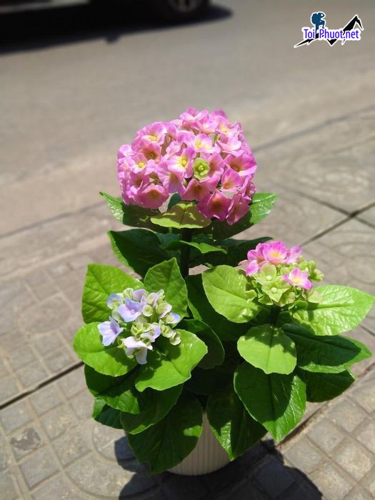 Top 8 Địa chỉ bán hoa giả đẹp nhất Đà Nẵng trải nghiệm không gian sống mới (2)