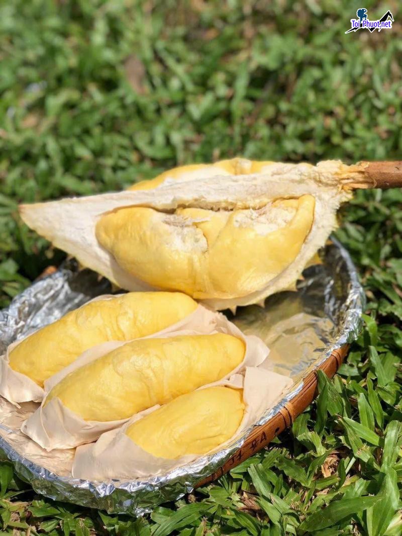 Top 8 Địa chỉ bán trái cây nhập khẩu chất lượng Quảng Trị có giá trị cao (2)