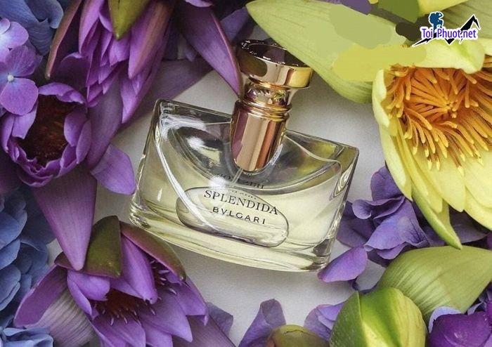 Top 8 Địa chỉ mua nước hoa uy tín nhất tại Đắk Lắk trải nghiệm mua sắm tuyệt vời (2)