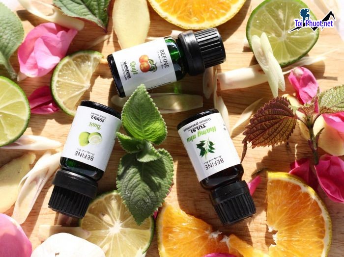 Top 8 Địa chỉ mua tinh dầu tốt nhất Điện Biên cực an toàn (3)