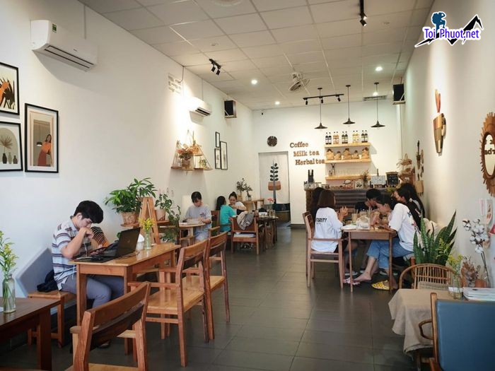 Top 8 Quán cà phê yên tĩnh, thích hợp tự học Cà Mau riêng tư (2)