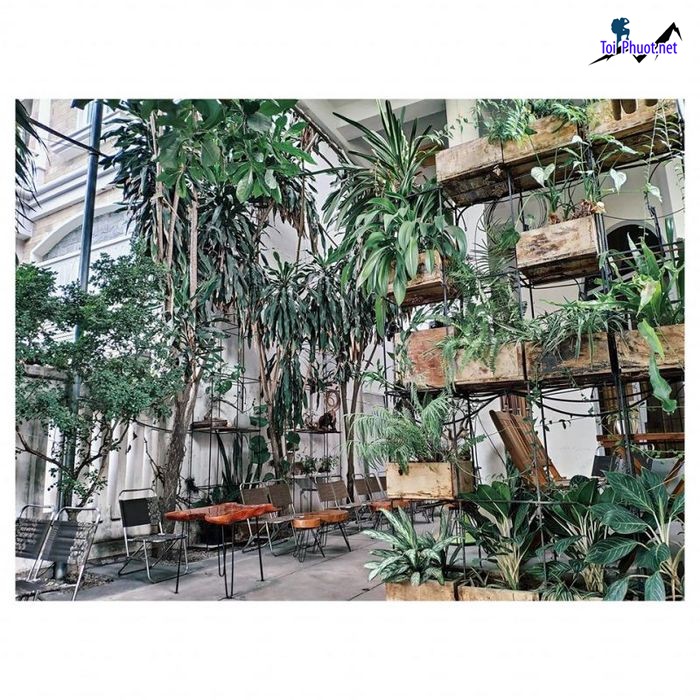 Top 8 Quán cafe đẹp nhất Khánh Hòa tận hưởng không chỉ cà phê ngon mà còn những góc sống ảo tuyệt vời (1)