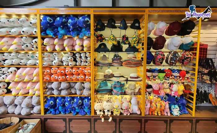 Top 8 Shop quà lưu niệm chất lượng nhất ở Quảng Trị phổ biến nhất  (1)