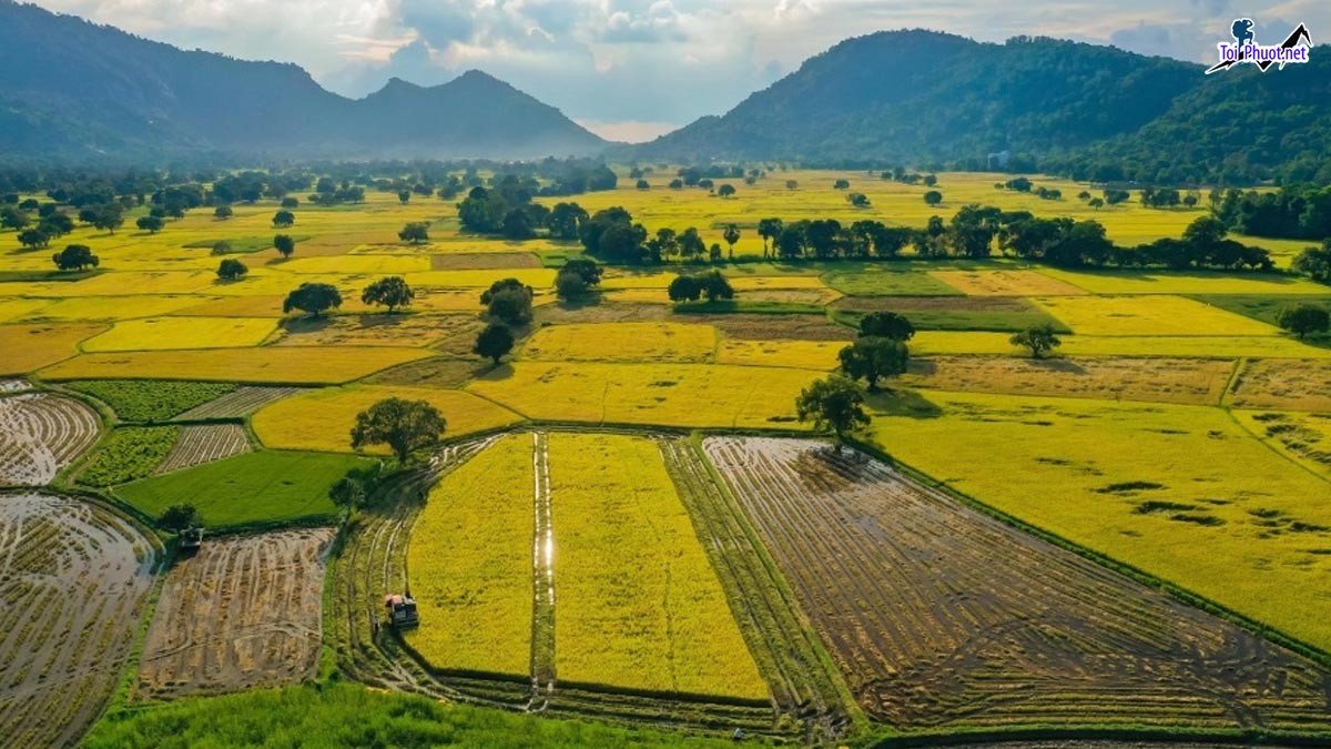 Top 9 Danh lam thắng cảnh đẹp nhất tại An Giang gắn liền với ý nghĩa văn hóa và lịch sử (5)