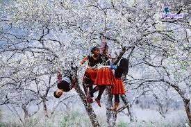 Top 9 Danh lam thắng cảnh đẹp nhất tại Sơn La hòa trọn vẹn cảnh quan thiên nhiên  (4)