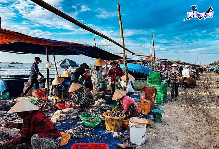Top 9 Địa chỉ bán hải sản tươi sống chất lượng nhất Cần Thơ đặt lợi ích của khách hàng lên hàng đầu (3)