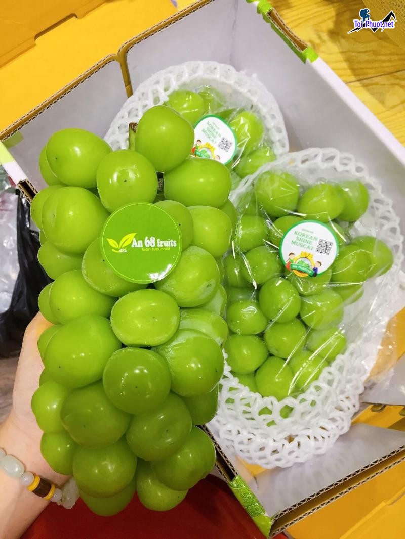 Top 9 Địa chỉ bán trái cây nhập khẩu chất lượng Cà Mau chất lượng xuất xứ (2)