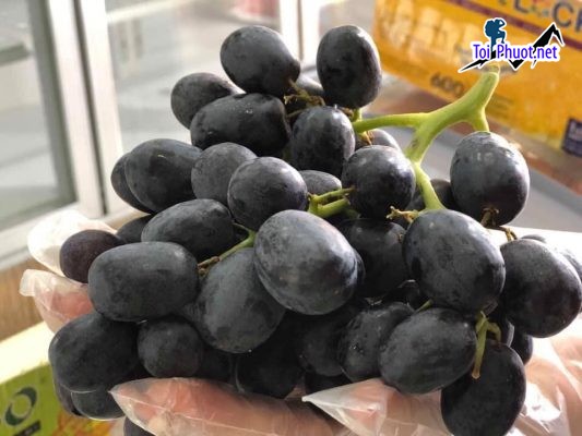 Top 9 Địa chỉ bán trái cây nhập khẩu chất lượng Cần Thơ giá thành cạnh tranh (5)