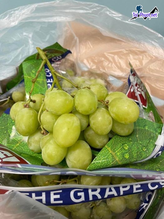 Top 9 Địa chỉ bán trái cây nhập khẩu chất lượng Đồng Nai an toàn & chất lượng (5)