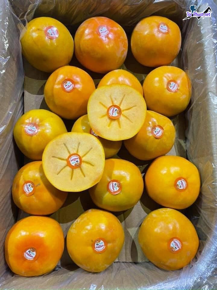 Top 9 Địa chỉ bán trái cây nhập khẩu chất lượng Khánh Hòa cực tươi ngon (3)