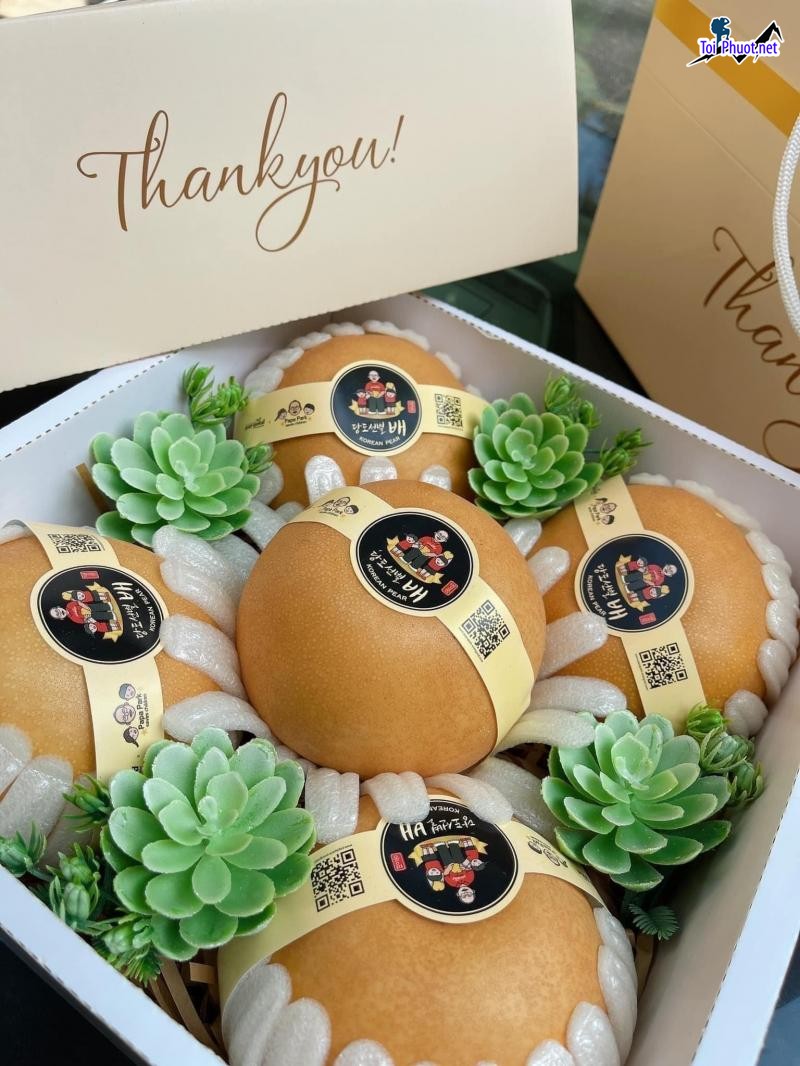 Top 9 Địa chỉ bán trái cây nhập khẩu chất lượng Quảng Ngãi độc đáo, mới lạ (5)