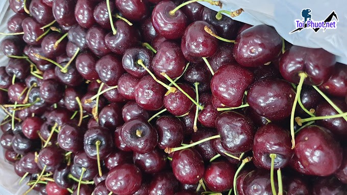 Top 9 Địa chỉ bán trái cây nhập khẩu chất lượng Quảng Ninh đạt tiêu chuẩn (3)