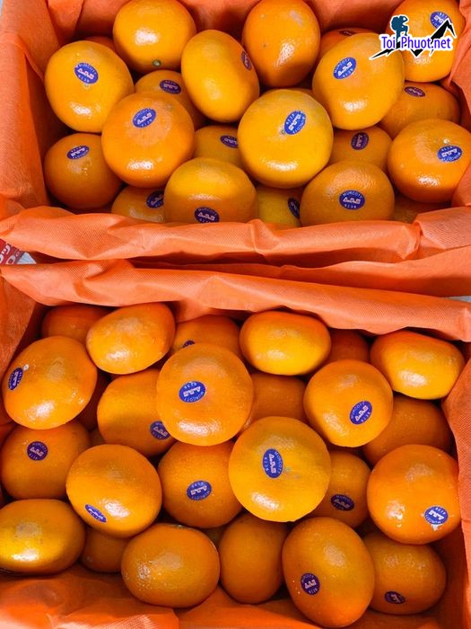 Top 9 Địa chỉ bán trái cây nhập khẩu chất lượng Quảng Ninh đạt tiêu chuẩn (5)