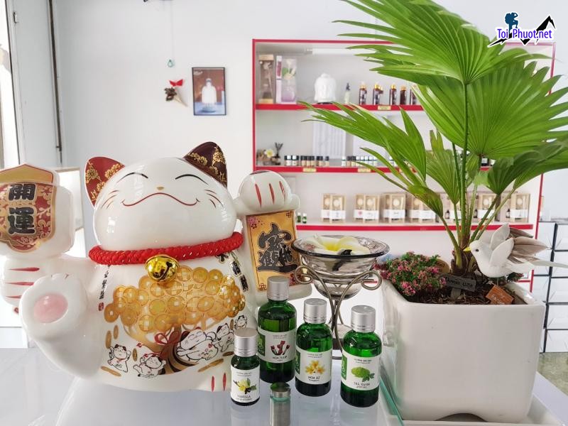 Top 9 Địa chỉ mua tinh dầu tốt nhất Hưng Yên thu hút năng lượng may mắn (5)