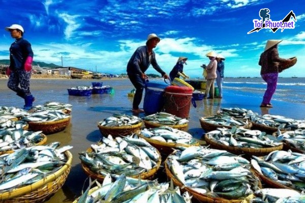 Top Địa chỉ bán hải sản tươi sống chất lượng nhất Bắc Ninh đảm bảo độ tươi ngon  (2)