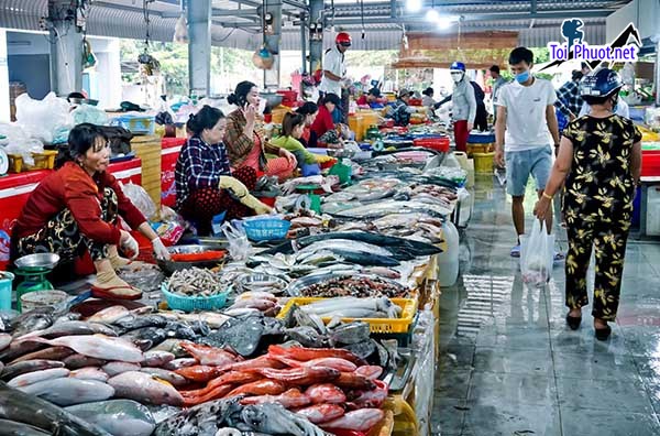 Top Địa chỉ bán hải sản tươi sống chất lượng nhất Gia Lai thoải mái lựa chọn