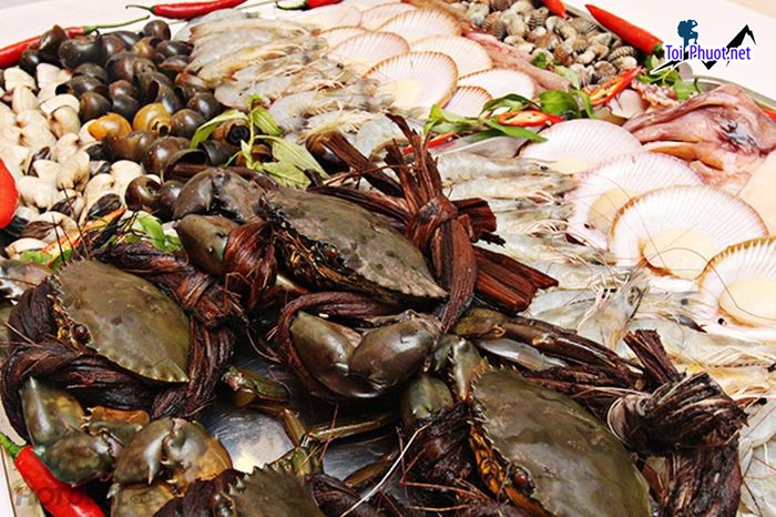 Top Địa chỉ bán hải sản tươi sống chất lượng nhất  Hà Tĩnh uy tín hàng đầu (1)