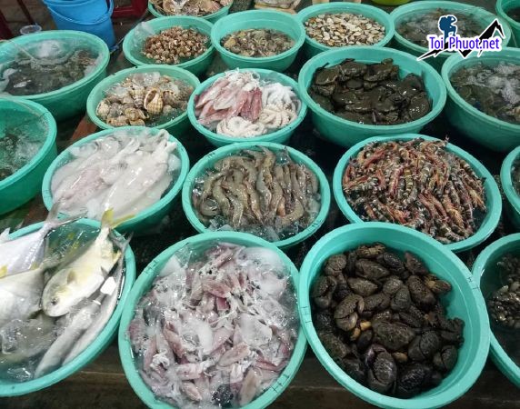 Top Địa chỉ bán hải sản tươi sống chất lượng nhất Lạng Sơn giá rẻ ưu đãi