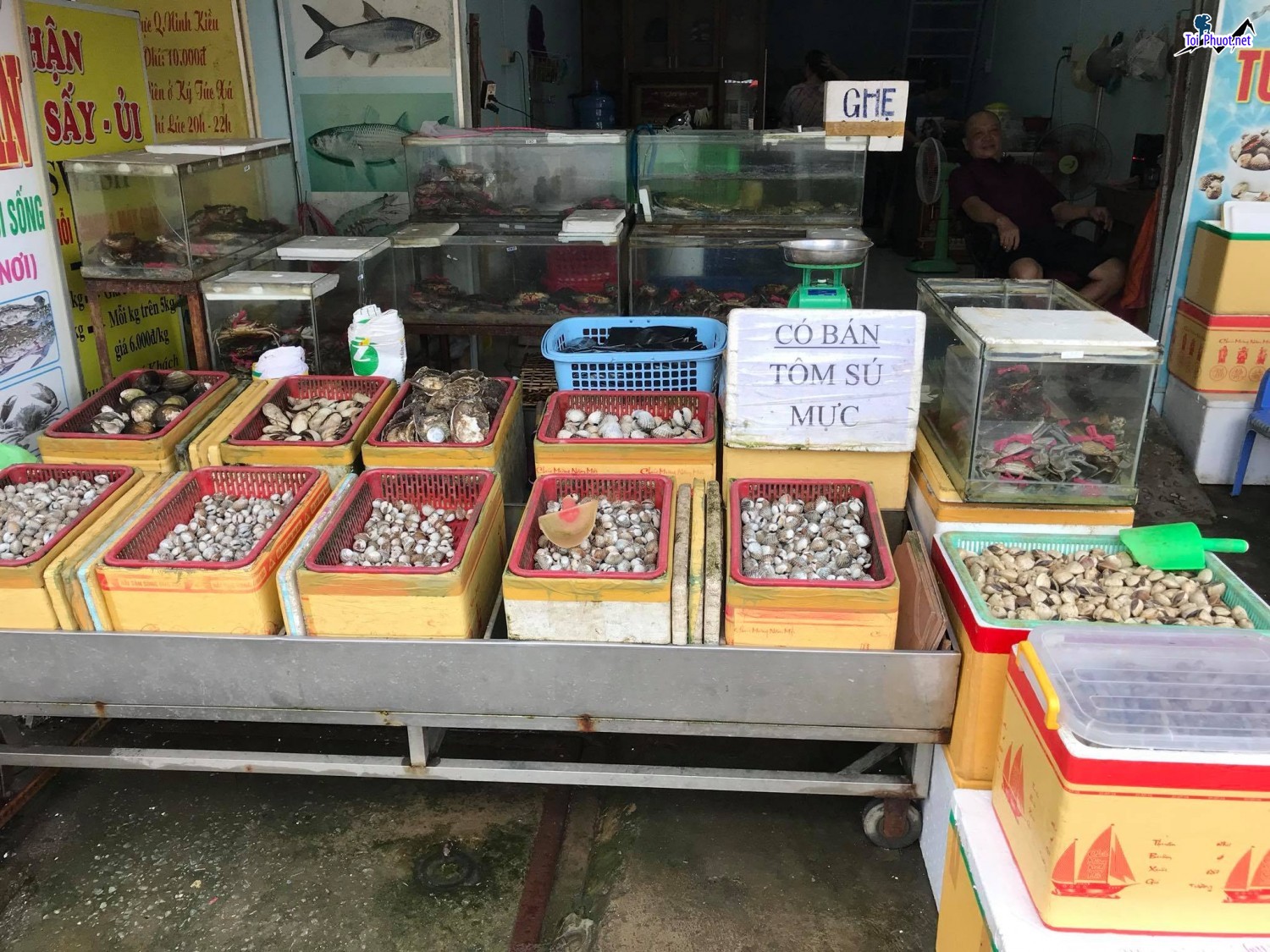 Top Địa chỉ bán hải sản tươi sống chất lượng nhất Lào Cai mọi người tin tưởng (3)