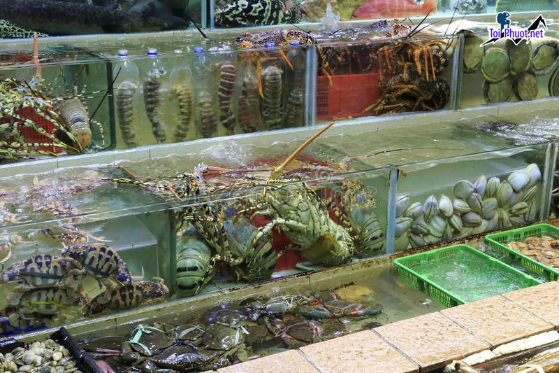 Top Địa chỉ bán hải sản tươi sống chất lượng nhất Lào Cai mọi người tin tưởng