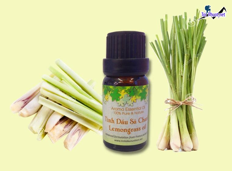Top Địa chỉ mua tinh dầu tốt nhất Đắk Lắk bạn có thể tham khảo (2)