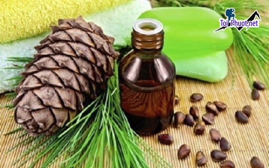Top Địa chỉ mua tinh dầu tốt nhất Đồng Nai tự nhiên