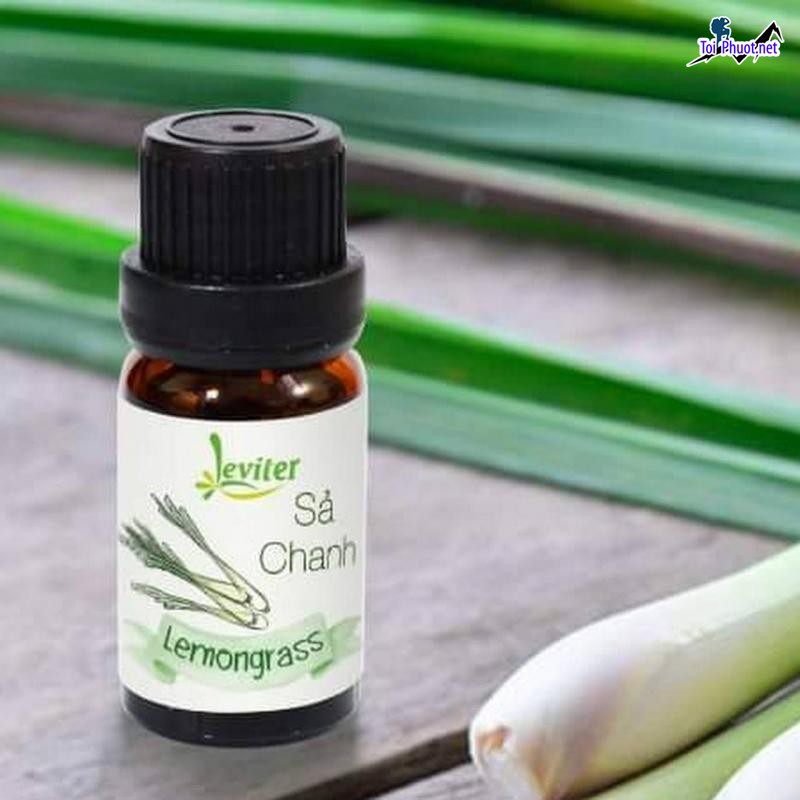 Top Địa chỉ mua tinh dầu tốt nhất Gia Lai chất lượng tự nhiên (1)
