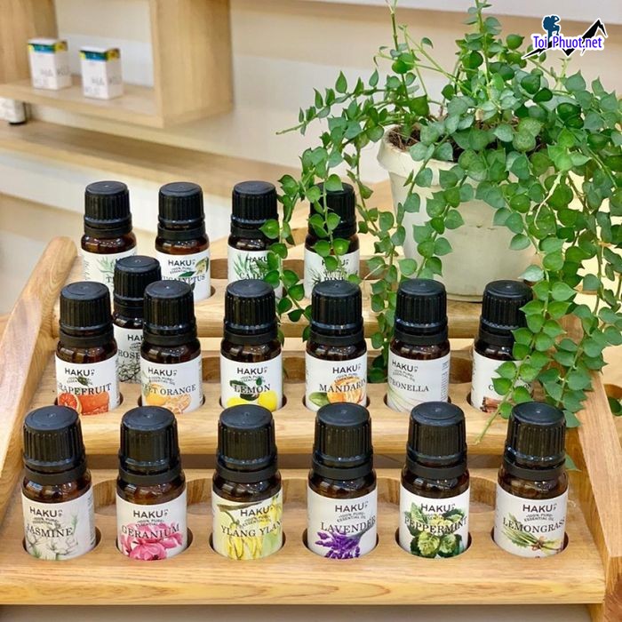Top Địa chỉ mua tinh dầu tốt nhất Lạng Sơn tốt cho sức khỏe  (1)