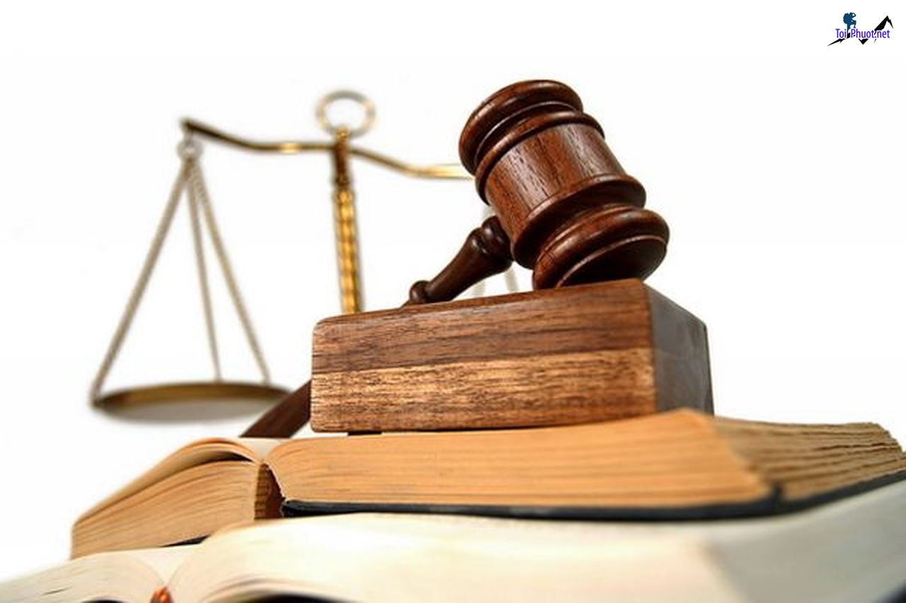 Road Traffic Act 2024 in the US (1)