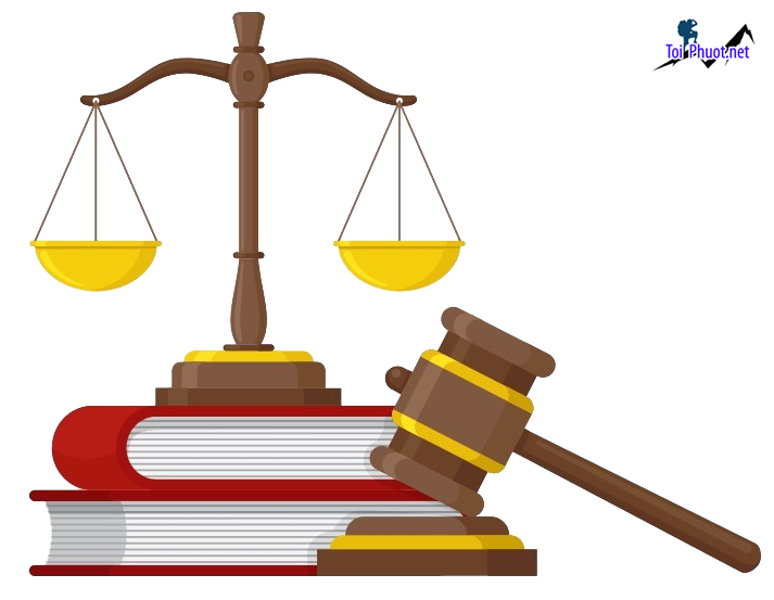 Summary of the latest corporate law documents in the US