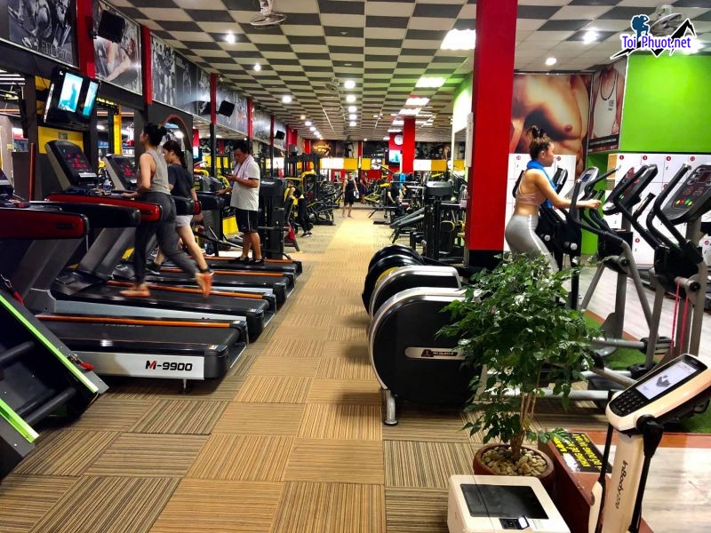 Top 10 Phòng tập gym uy tín và chất lượng nhất Biên Hòa Đồng Nai giúp ích cho cơ thể của bạn (3)