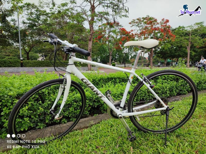 Top 5 Cửa hàng bán xe đạp thể thao uy tín nhất Bắc Giang cực xịn xò (2)