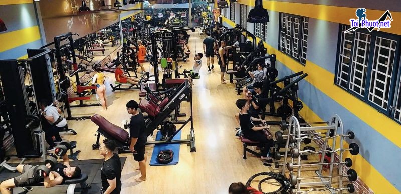 Top 7 Phòng tập gym uy tín và chất lượng nhất Buôn Ma Thuột Đắk Lắk phòng rộng rãi  (3)