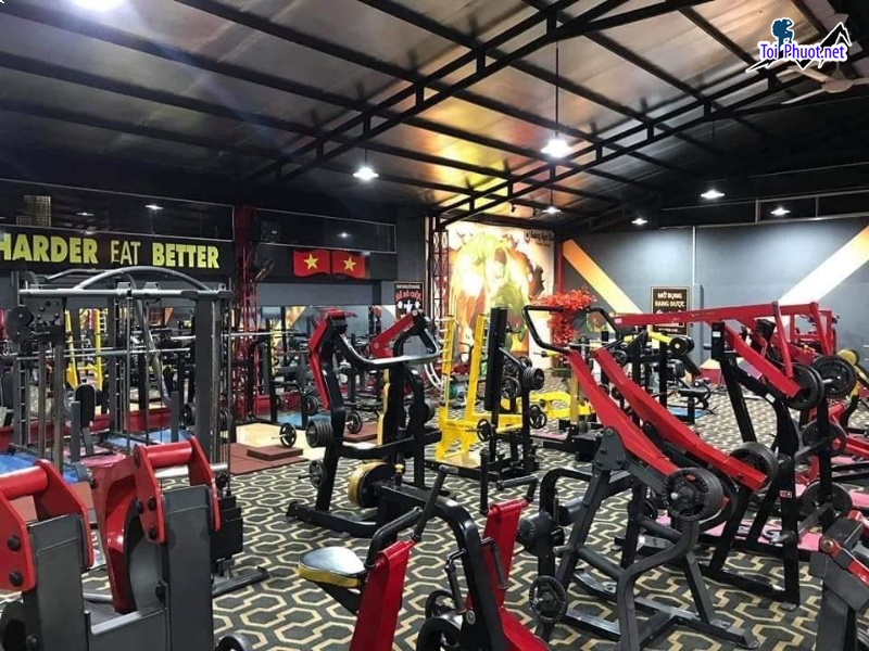 Top 8 Phòng tập gym uy tín và chất lượng nhất Hạ Long Quảng Ninh được đánh giá cao (1)