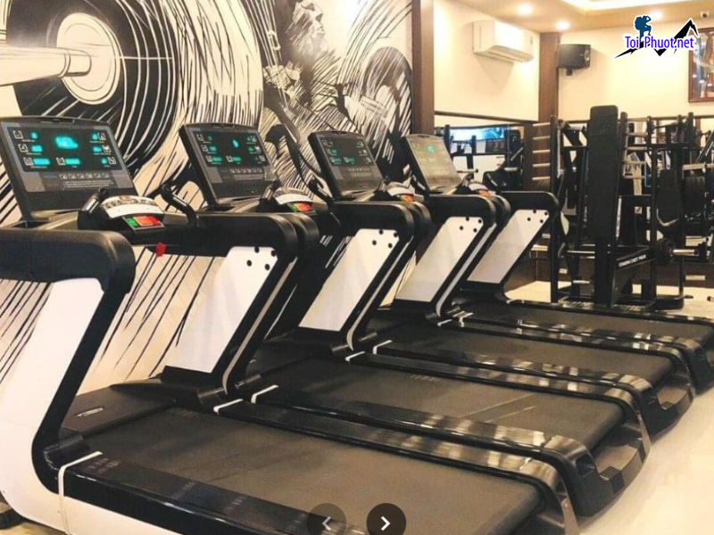 Top 8 Phòng tập gym uy tín và chất lượng nhất Hạ Long Quảng Ninh được đánh giá cao