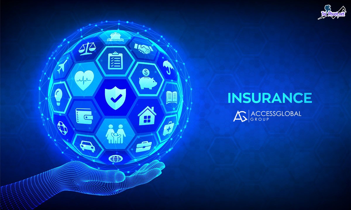 What is voluntary social insurance and what are its contribution rates in the US