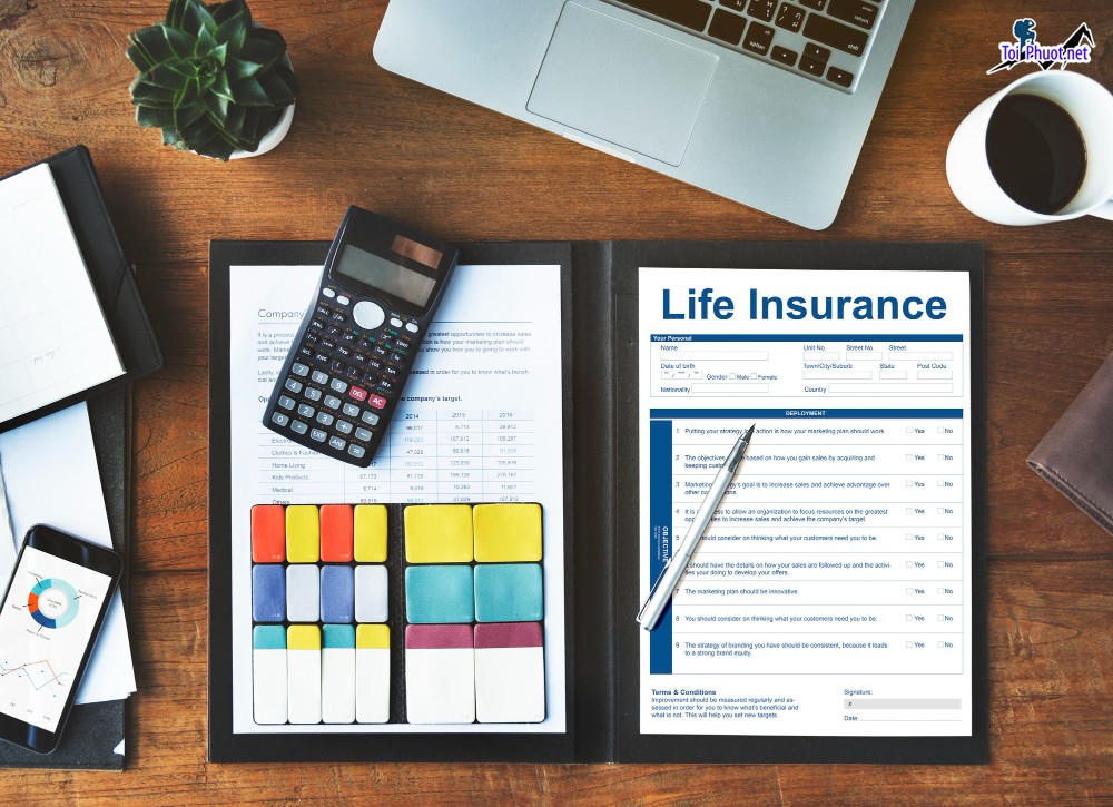 Which insurance is the most reputable and widely used in the US today (1)