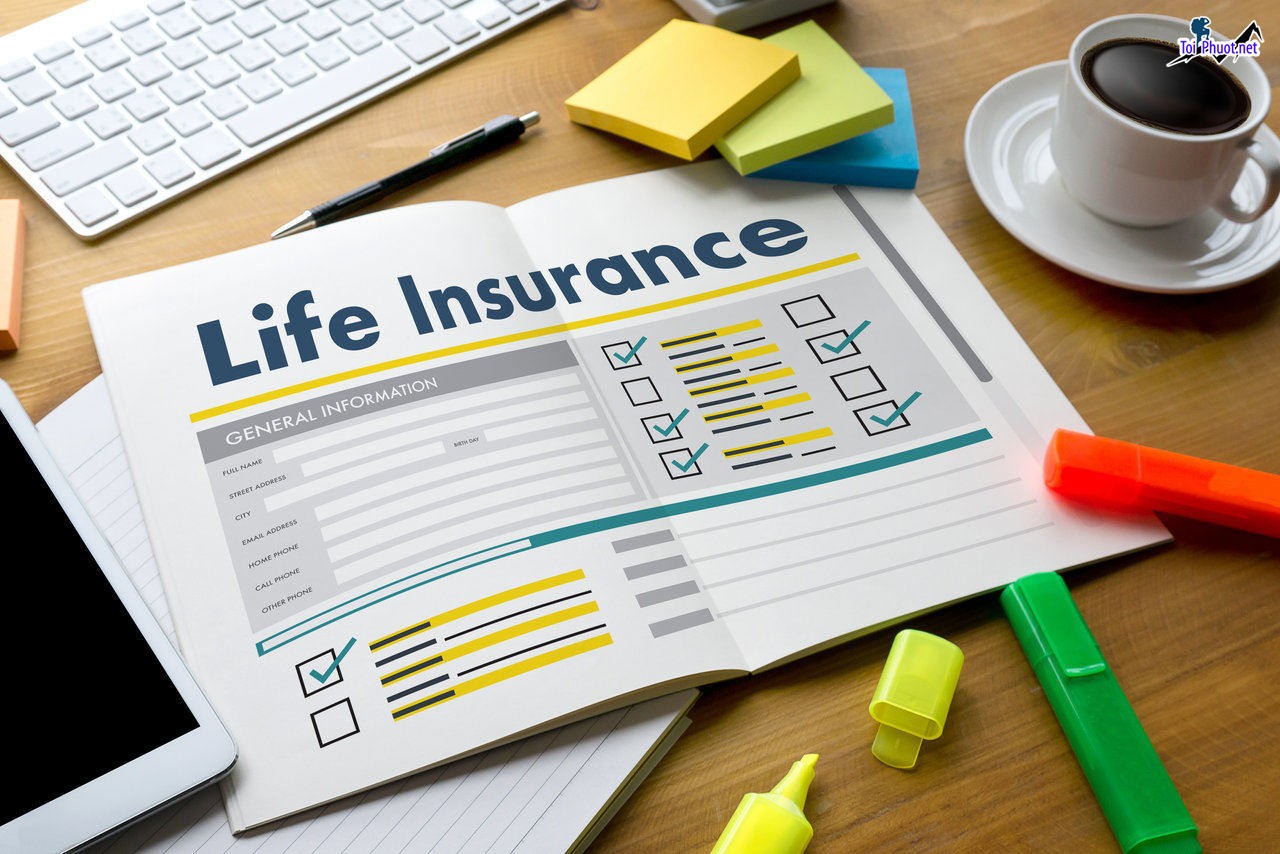 Which insurance is the most reputable and widely used in the US today (2)