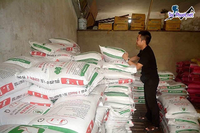 Top 10 bán thức ăn gia súc gia cầm Bà Rịa   Vũng Tàu đáng tin cậy (3)