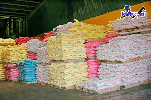 Top 10 bán thức ăn gia súc gia cầm Bà Rịa Vũng Tàu đáng tin cậy