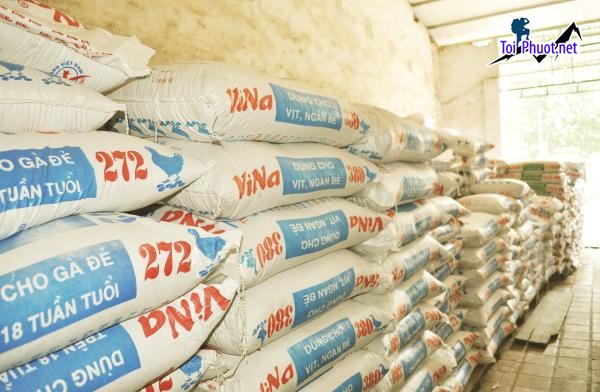 Top 10 bán thức ăn gia súc gia cầm Bắc Kạn được nhiều hộ tin dùng (1)